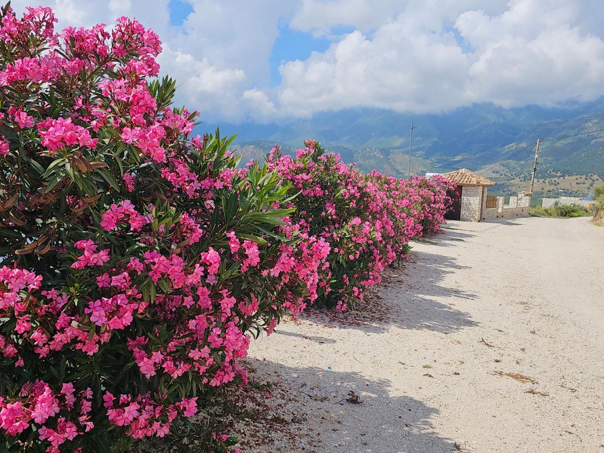 Argileos Himare Exterior foto